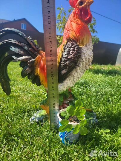 Рассада земляники