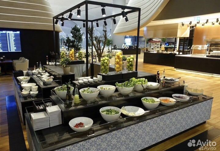 Проход в бизнес зал Аэропорта и Жд