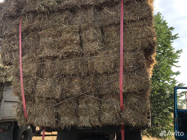 Сено солома