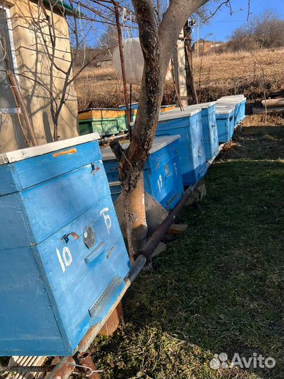 Продаются домики для пчел