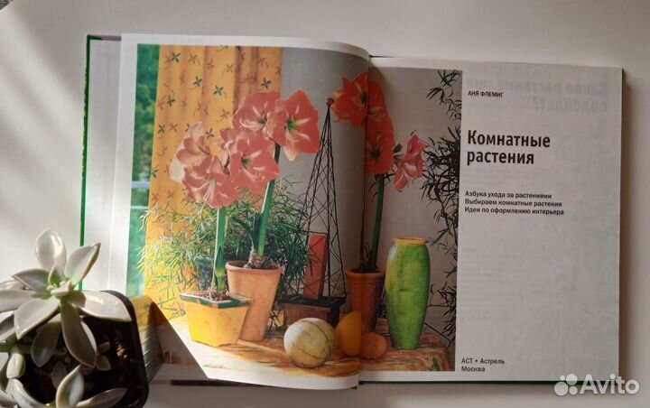 Книга о комнатных растениях