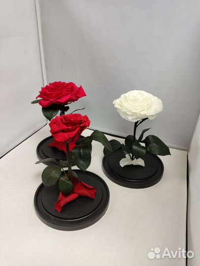 Роза в колбе оптом и в розницу