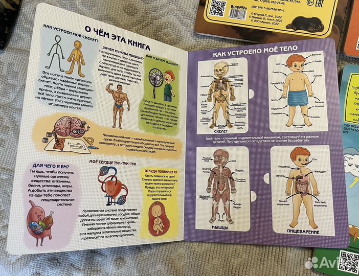 Детская энциклопедия с окошками