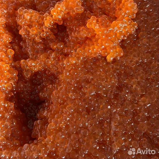 Икра Горбуши Камчатка вылов 2023