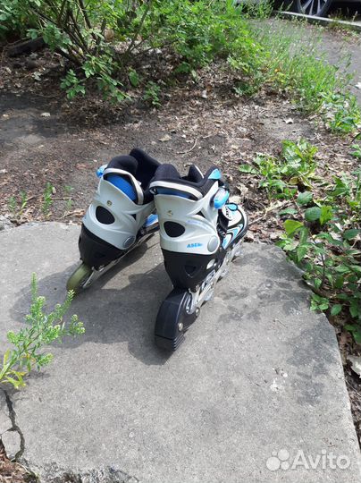 Роликовые коньки