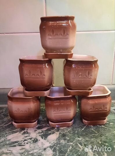 Керамические горшки для кактусов и суккулентов