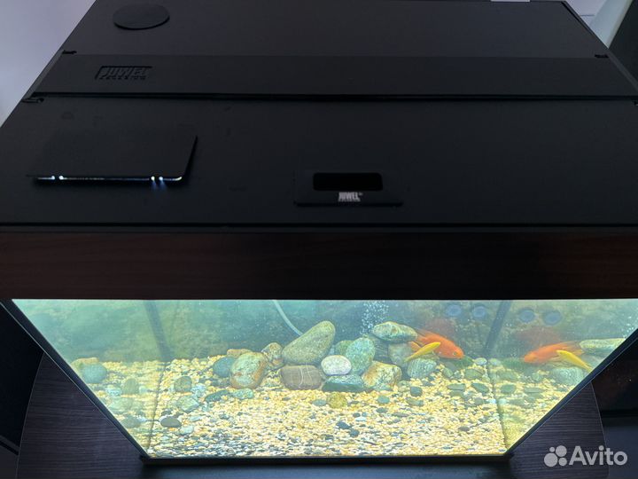 Иаквариум juwel 120 + фильтр eheim experienc