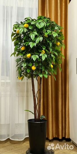 Искусственное дерево лимон