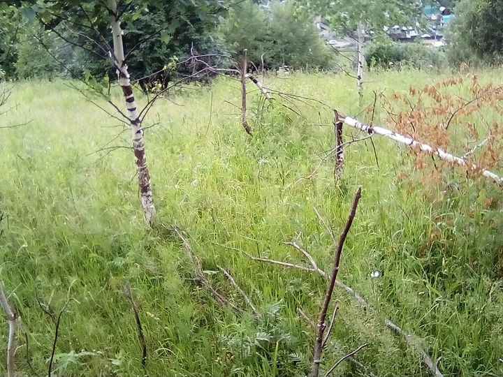 Участок 4 сот. (СНТ, ДНП)