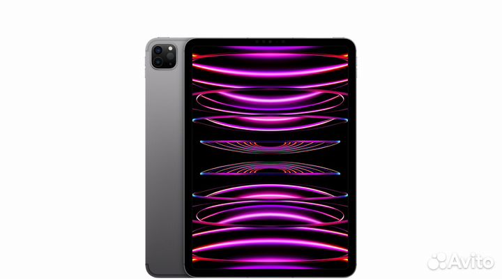 iPad Pro 11 2022/M2 (Space Gray) 256GB(Cellular)