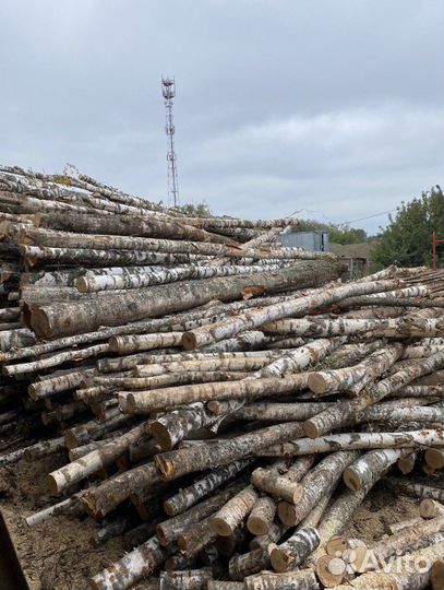 Дрова березовые колотые