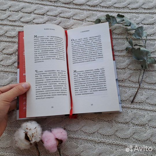 Вадим Зеланд Клип трансерфинг