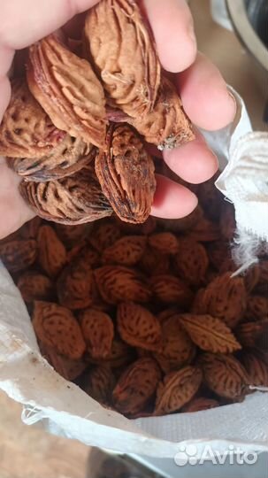 Косточки крупных персиков