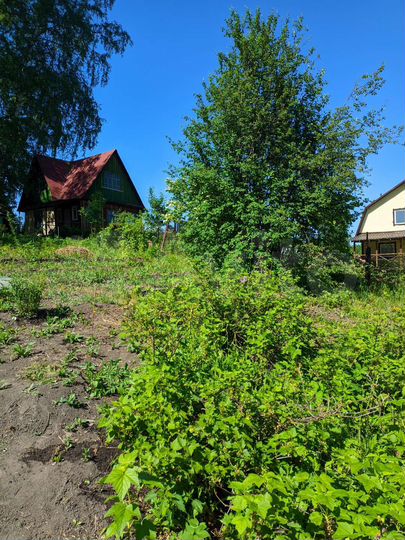 Участок 7 сот. (СНТ, ДНП)