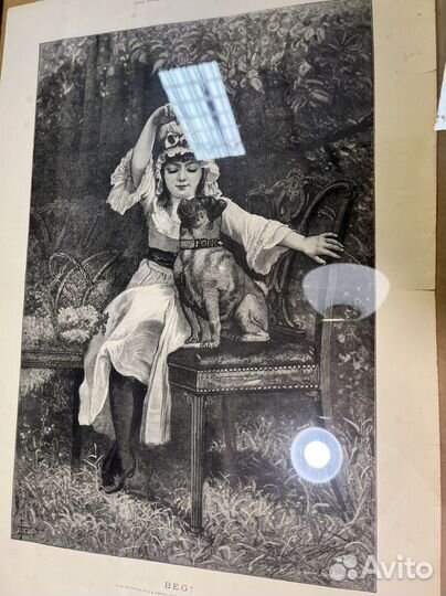Гравюра мопс собака девочка антиквариат