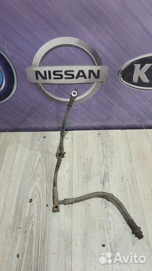 Трубка Шланг тормозной Nissan primera P12 Прав