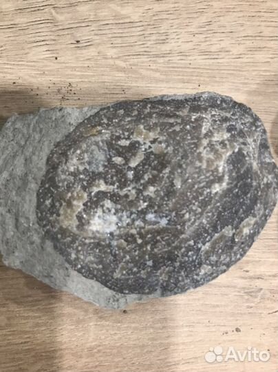 Окаменелости разные