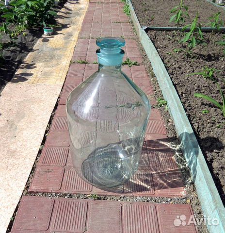 Бутыль 10 литров стекло чистые СССР для вина