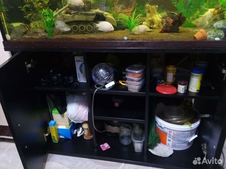 Аквариум