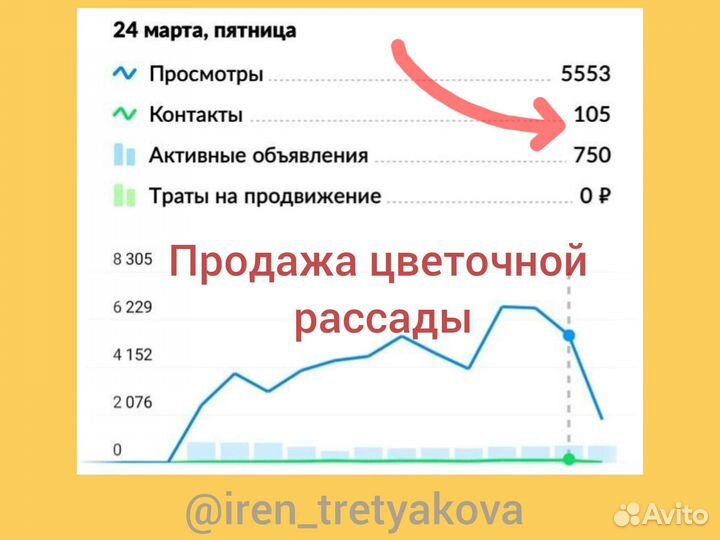 Консультация авитолога
