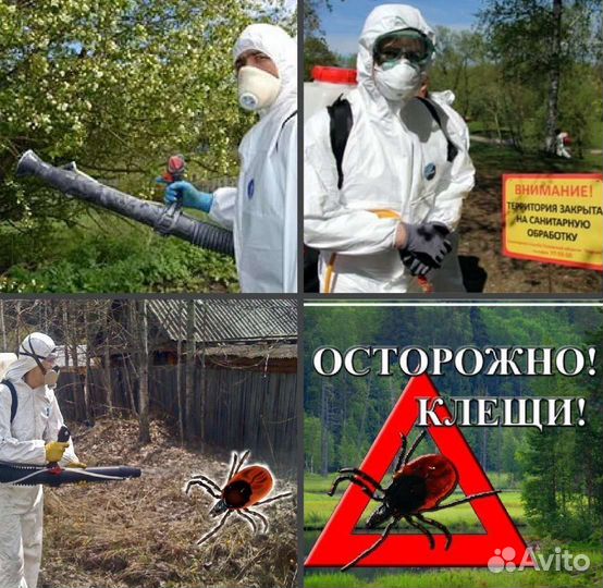 Уничтожение тараканов клопов блох крыс клещей