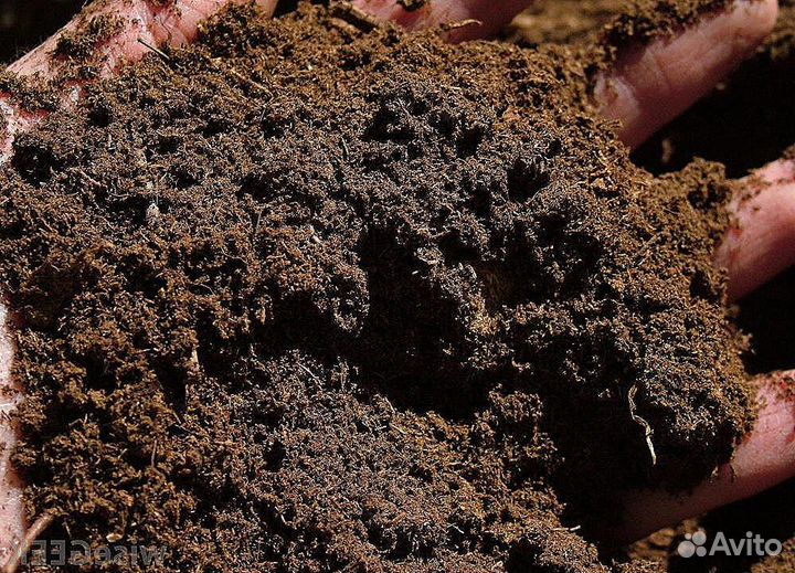 Торф удобрение