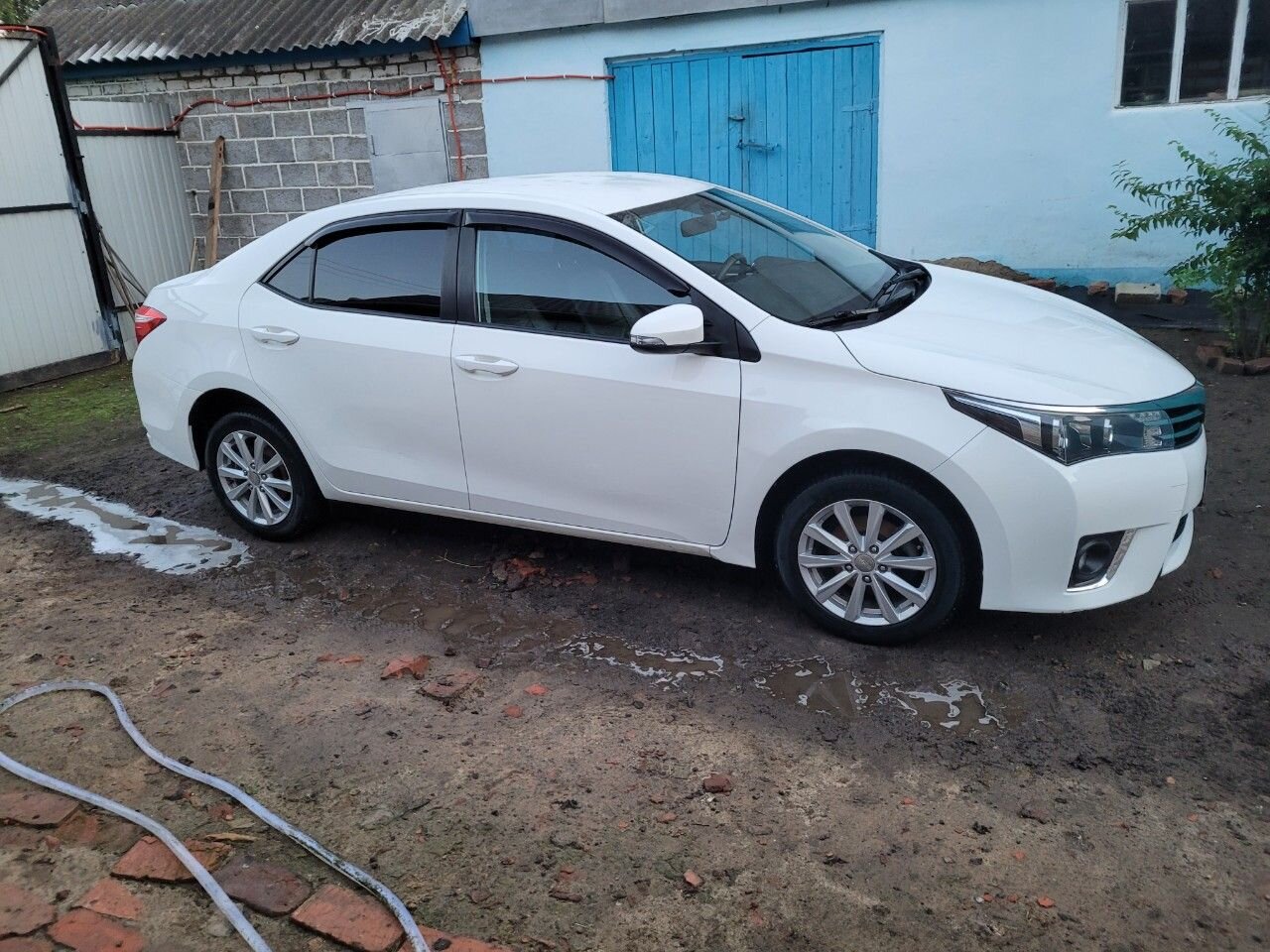 Toyota Corolla: фото владельца