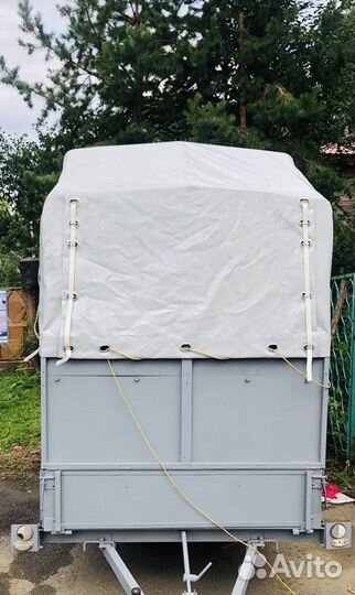 Коневоз (конеперевозки) Аренда