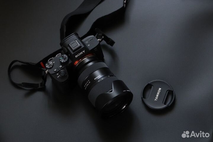 Sony a7 iii / tamron 28 75