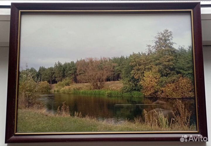 Картина фото