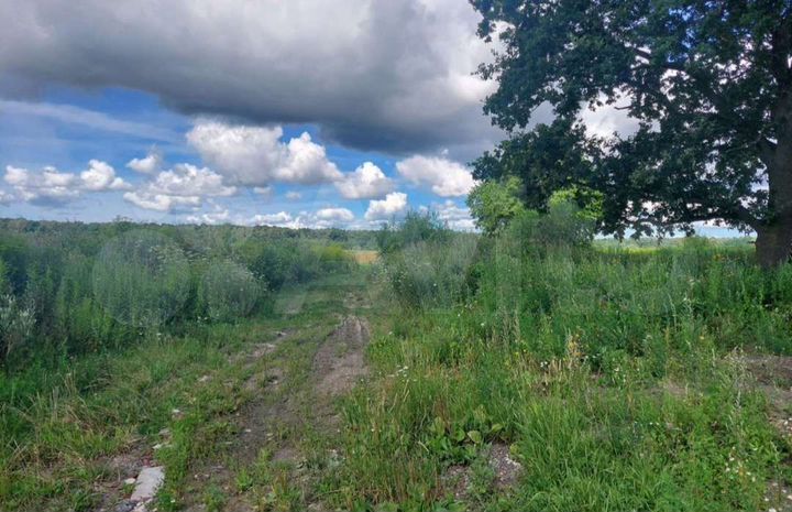 Участок 10 сот. (ИЖС)