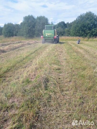 Сено в рулонах 2022