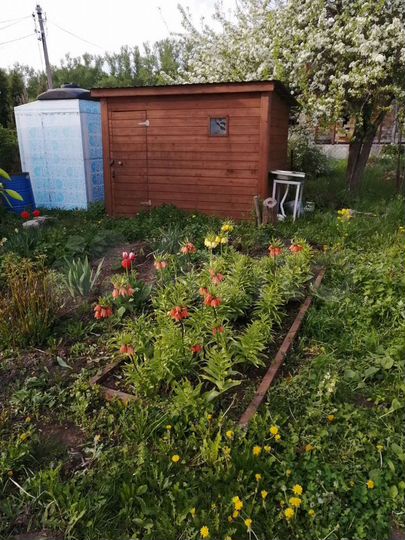 Дача 25 м² на участке 6,4 сот.