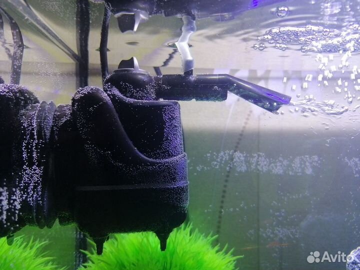 Аквариум 20 литров с рыбками и всем остальным