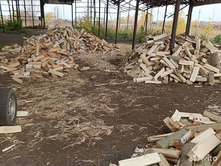 Дрова берёза