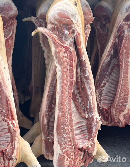 Мясо свинины в полутушах