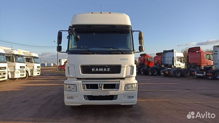 КамАЗ 5490 NEO, 2018