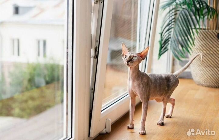 Окна быстро за день