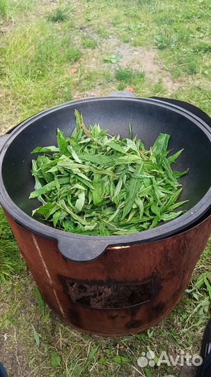 Чай, очень редкий зелёный Иван-чай