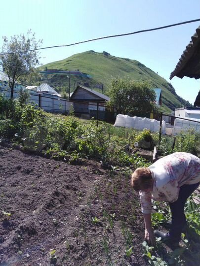 Участок 4 сот. (СНТ, ДНП)