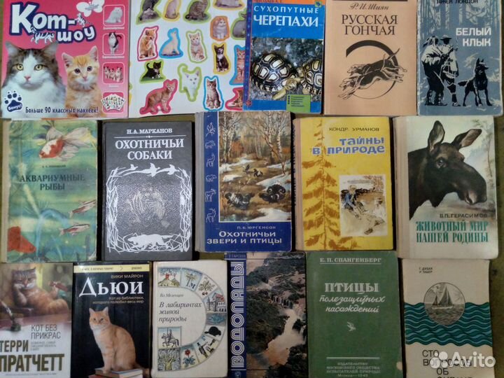 Животный мир.Кошки Собаки.Птицы