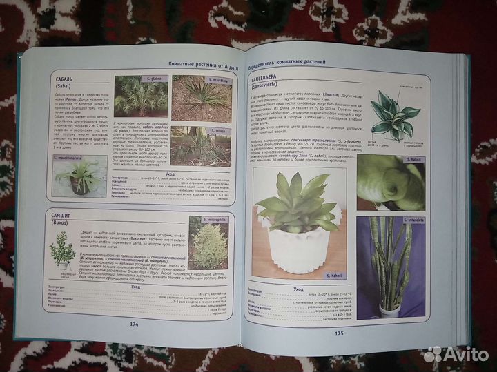 Энциклопедический справочник Комнатные растения
