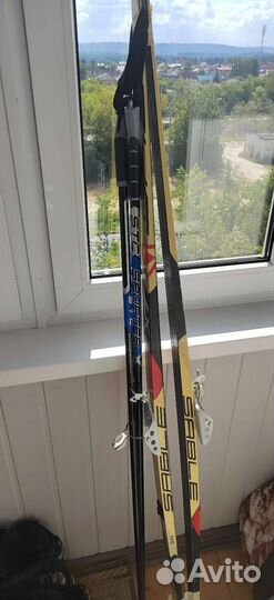 Беговые лыжи