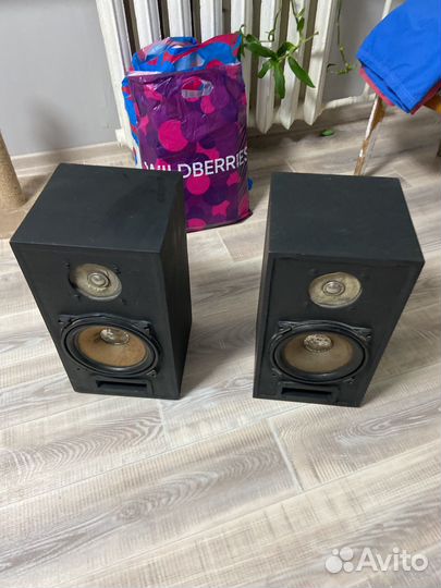 Колонки Вега 35ас 105