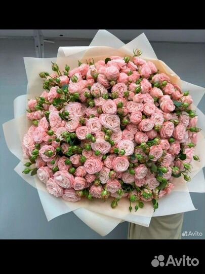 Кустовые пионовидные розы.11.21.51.101.штут