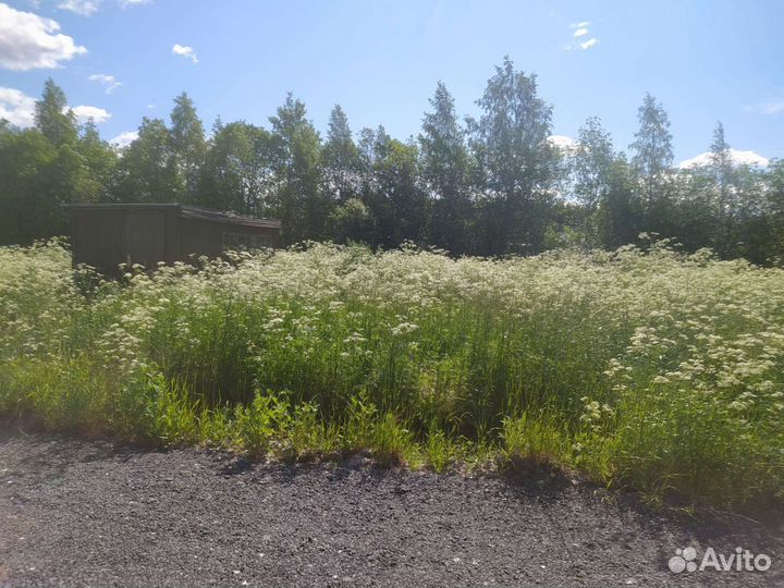 Покос травы