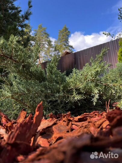 Мульча кора лиственницы только опт