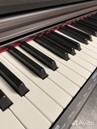 Orla CDP-1-rosewood Цифровое пианино (новое)