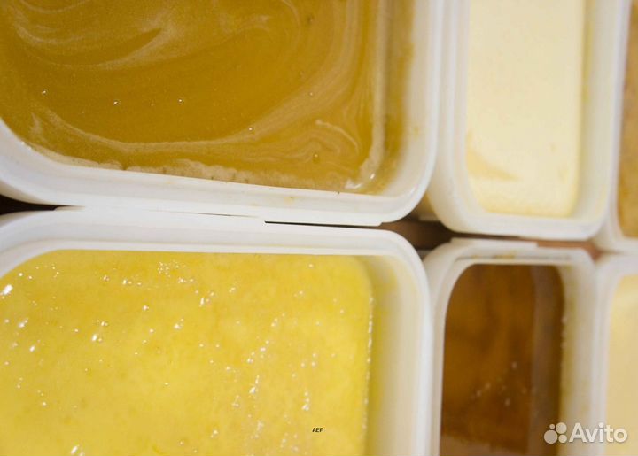 2024 Мёд натуральный алтайский опт