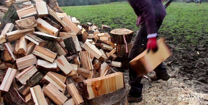 Дрова с Зеленогорска